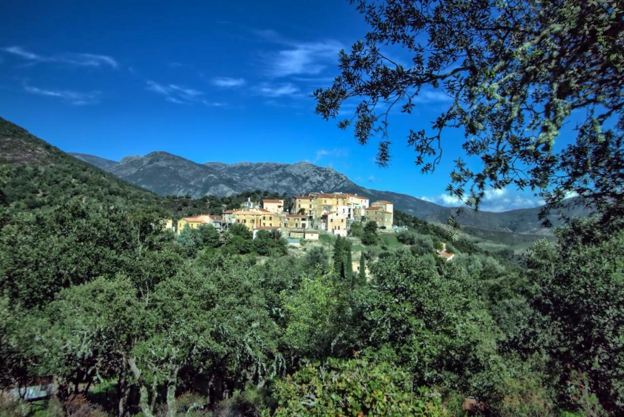 A Ghjuvellina Hotel Piedigriggio Exterior photo